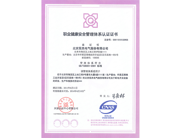 2011 Occupational Health and Safety System Certificate