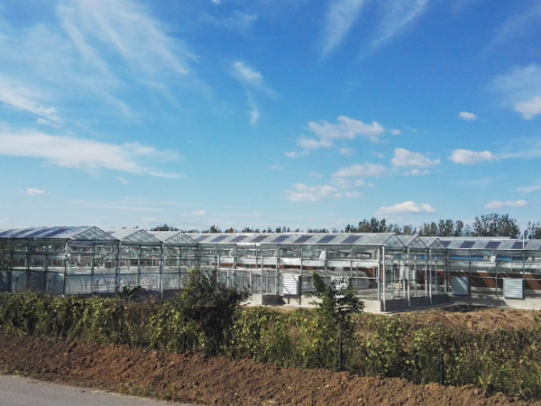 Strawberry greenhouse in Chengde and sunlight greenhouse of Shunyi Garden